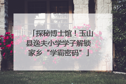 探秘博士馆！玉山县逸夫小学学子解锁家乡“学霸密码”