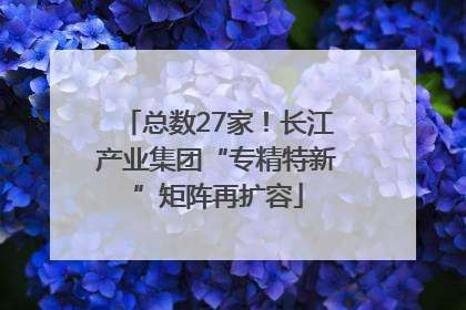 总数27家！长江产业集团“专精特新”矩阵再扩容