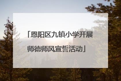 恩阳区九镇小学开展师德师风宣誓活动