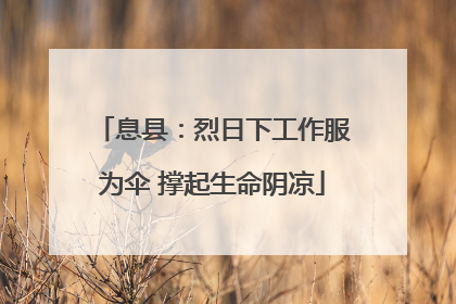 息县：烈日下工作服为伞 撑起生命阴凉