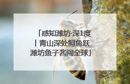 感知潍坊·深1度丨青山深处鲟鱼跃 潍坊鱼子酱闯全球