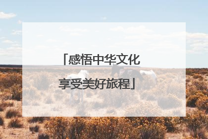 感悟中华文化 享受美好旅程