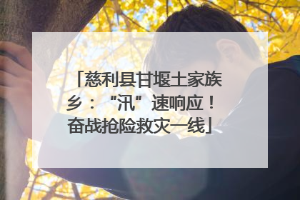 慈利县甘堰土家族乡：“汛”速响应！奋战抢险救灾一线