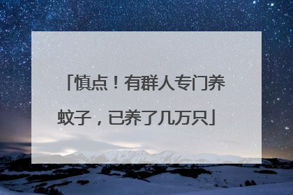 慎点！有群人专门养蚊子，已养了几万只
