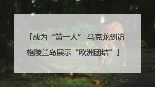 成为“第一人” 马克龙到访格陵兰岛展示“欧洲团结”
