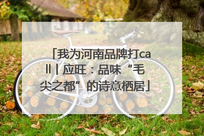 我为河南品牌打call丨应旺：品味“毛尖之都”的诗意栖居