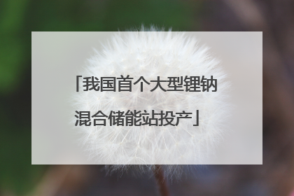 我国首个大型锂钠混合储能站投产