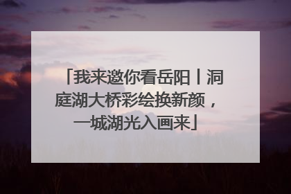 我来邀你看岳阳丨洞庭湖大桥彩绘换新颜，一城湖光入画来