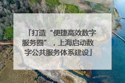 打造“便捷高效数字服务圈”，上海启动数字公共服务体系建设