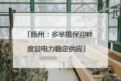 扬州：多举措保迎峰度夏电力稳定供应