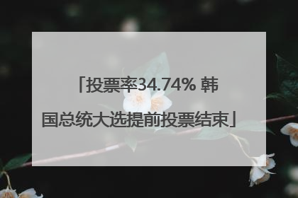 投票率34.74% 韩国总统大选提前投票结束