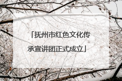 抚州市红色文化传承宣讲团正式成立