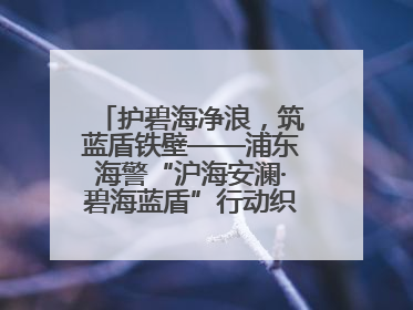 护碧海净浪，筑蓝盾铁壁——浦东海警“沪海安澜·碧海蓝盾”行动织密立体防控网