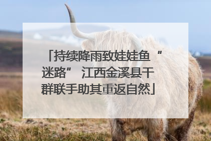 持续降雨致娃娃鱼“迷路” 江西金溪县干群联手助其重返自然
