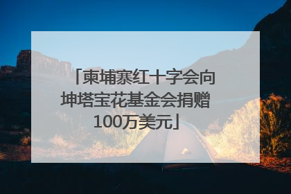 柬埔寨红十字会向坤塔宝花基金会捐赠100万美元