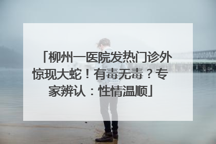 柳州一医院发热门诊外惊现大蛇！有毒无毒？专家辨认：性情温顺
