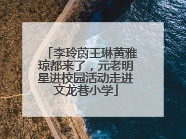 李玲蔚王琳黄雅琼都来了，元老明星进校园活动走进文龙巷小学