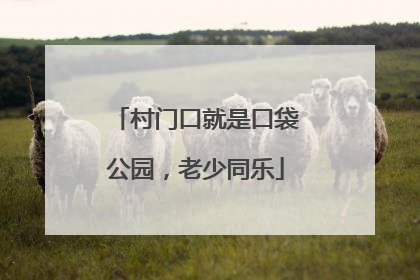 村门口就是口袋公园，老少同乐