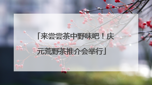 来尝尝茶中野味吧！庆元荒野茶推介会举行