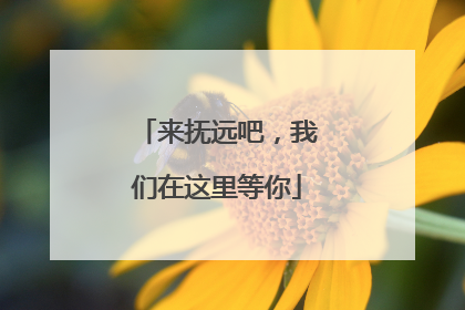 来抚远吧，我们在这里等你