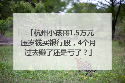 杭州小孩哥1.5万元压岁钱买银行股，4个月过去赚了还是亏了？