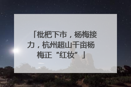 枇杷下市，杨梅接力，杭州超山千亩杨梅正“红妆”
