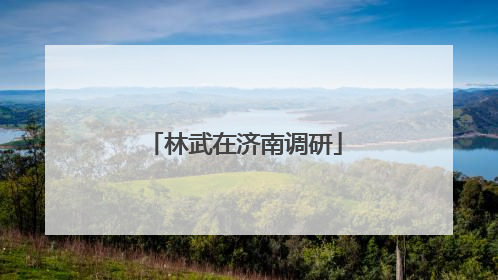 林武在济南调研