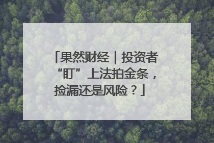 果然财经｜投资者“盯”上法拍金条，捡漏还是风险？