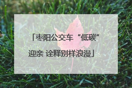 枣阳公交车“低碳”迎亲 诠释别样浪漫
