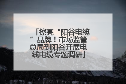 擦亮“阳谷电缆”品牌！市场监管总局到阳谷开展电线电缆专题调研