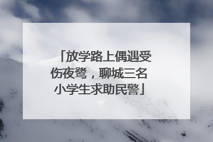放学路上偶遇受伤夜鹭，聊城三名小学生求助民警