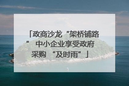 政商沙龙“架桥铺路” 中小企业享受政府采购 “及时雨”
