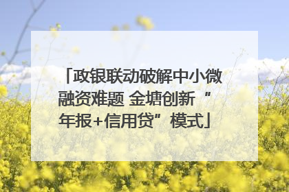 政银联动破解中小微融资难题 金塘创新“年报+信用贷”模式