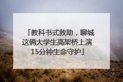 教科书式救助，聊城这俩大学生高架桥上演15分钟生命守护
