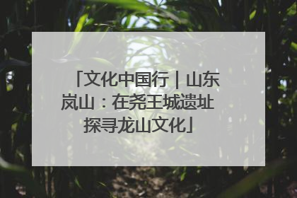 文化中国行｜山东岚山：在尧王城遗址探寻龙山文化