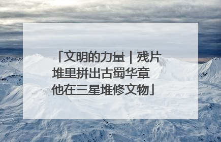 文明的力量｜残片堆里拼出古蜀华章 他在三星堆修文物