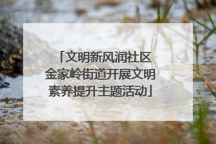 文明新风润社区 金家岭街道开展文明素养提升主题活动