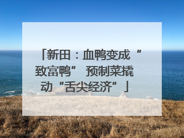 新田：血鸭变成“致富鸭” 预制菜撬动“舌尖经济”