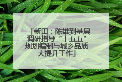 新田：陈雄到基层调研指导“十五五”规划编制与城乡品质大提升工作