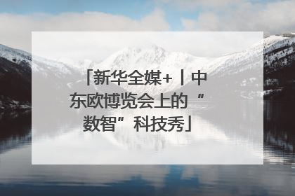 新华全媒+丨中东欧博览会上的“数智”科技秀