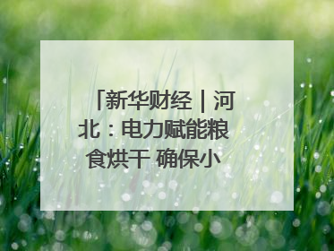 新华财经｜河北：电力赋能粮食烘干 确保小麦高质量归仓