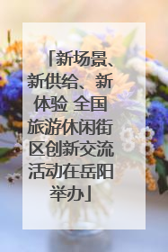 新场景、新供给、新体验 全国旅游休闲街区创新交流活动在岳阳举办