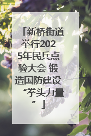 新桥街道举行2025年民兵点验大会 锻造国防建设“拳头力量”