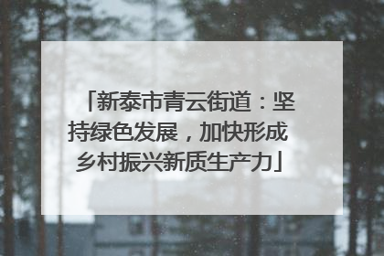 新泰市青云街道：坚持绿色发展，加快形成乡村振兴新质生产力