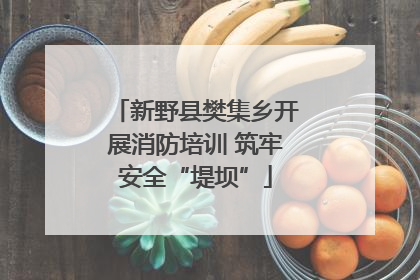 新野县樊集乡开展消防培训 筑牢安全“堤坝”