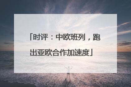 时评：中欧班列，跑出亚欧合作加速度