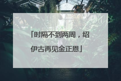时隔不到两周，绍伊古再见金正恩