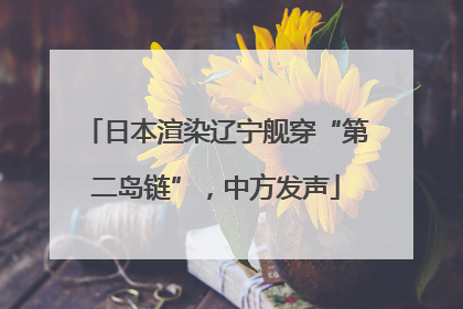 日本渲染辽宁舰穿“第二岛链”，中方发声
