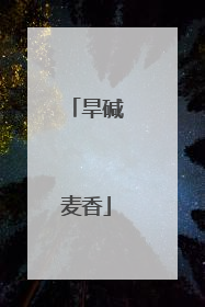 旱碱麦香