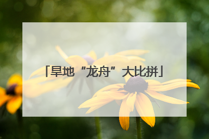 旱地“龙舟”大比拼